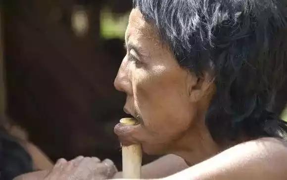 下巴插木棍的原始部落,下巴上插木棍的原始部落