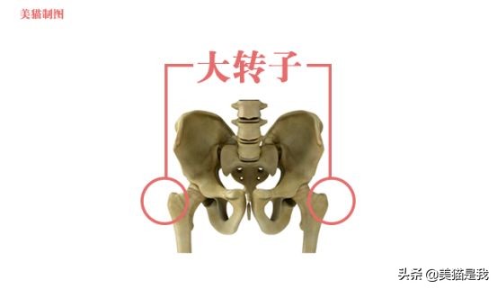 你不是腿短，而是加胯宽，科学矫正假垮宽，修炼长腿第一步！