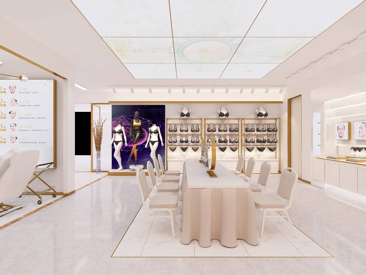 莱特妮丝内衣加盟开店11大项目支持助您赢取回报