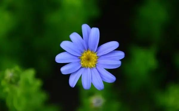 太累的话就给自己按个暂停键吧,感觉很累的时候还应不应该坚持