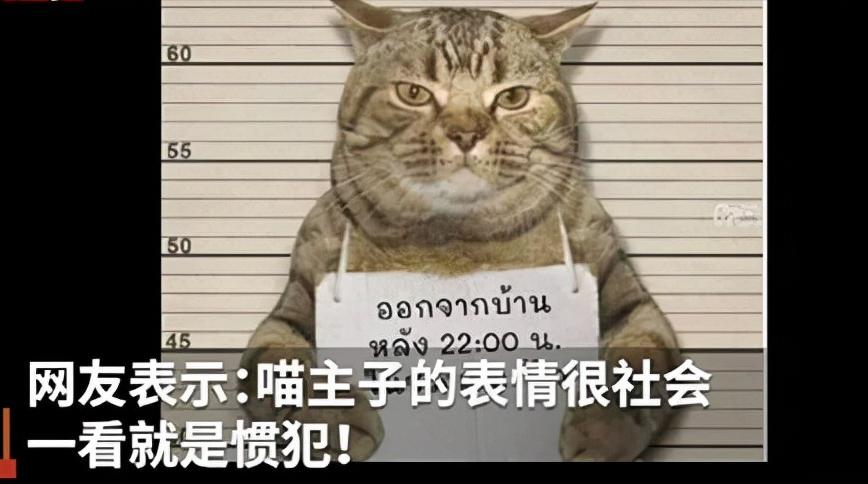 太平鸟又陷“抄袭门”？咦，多大点事呀