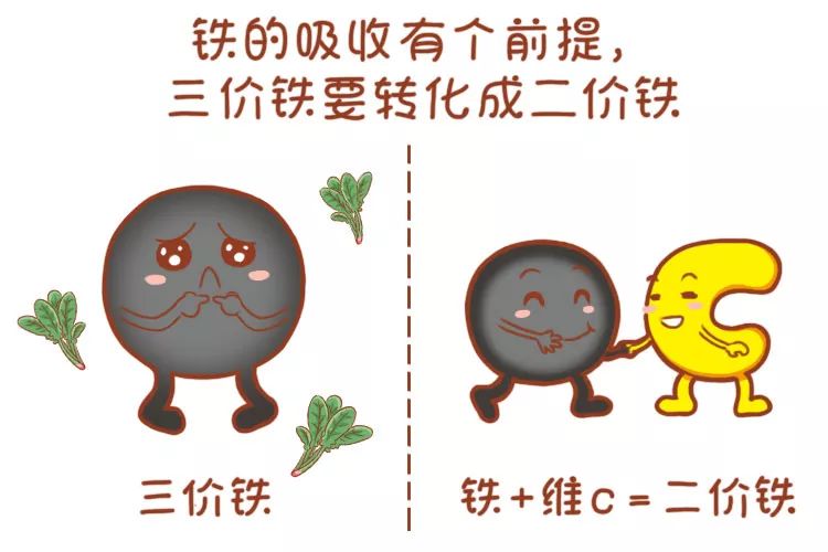 孕期缺铁性贫血怎么回事,孕期缺铁会导致胎儿贫血吗