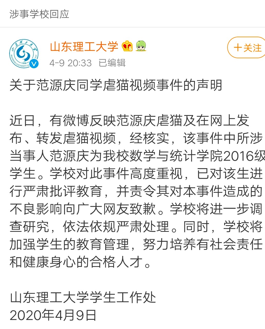 40只流浪猫被人虐待,40多只流浪猫被人虐待