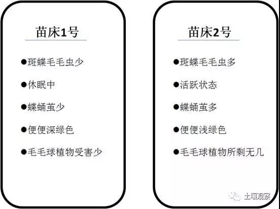 写观察记录什么植物能快速生长,观察植物时该如何观察