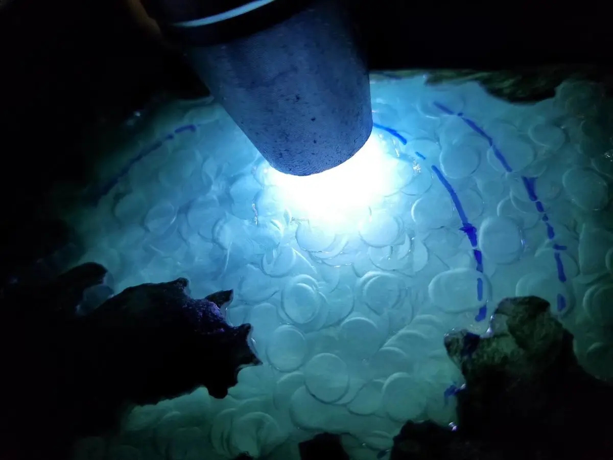 还在发愁不知道怎么看翡翠原石吗？——5个方面带你入行