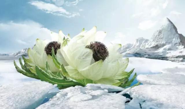 春夏养阳秋冬养阴含义,春夏养阳秋冬养阴