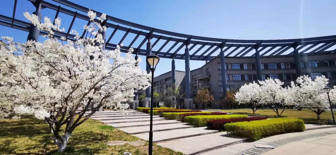 天津市普通高等院校,天津师范高等专科学校