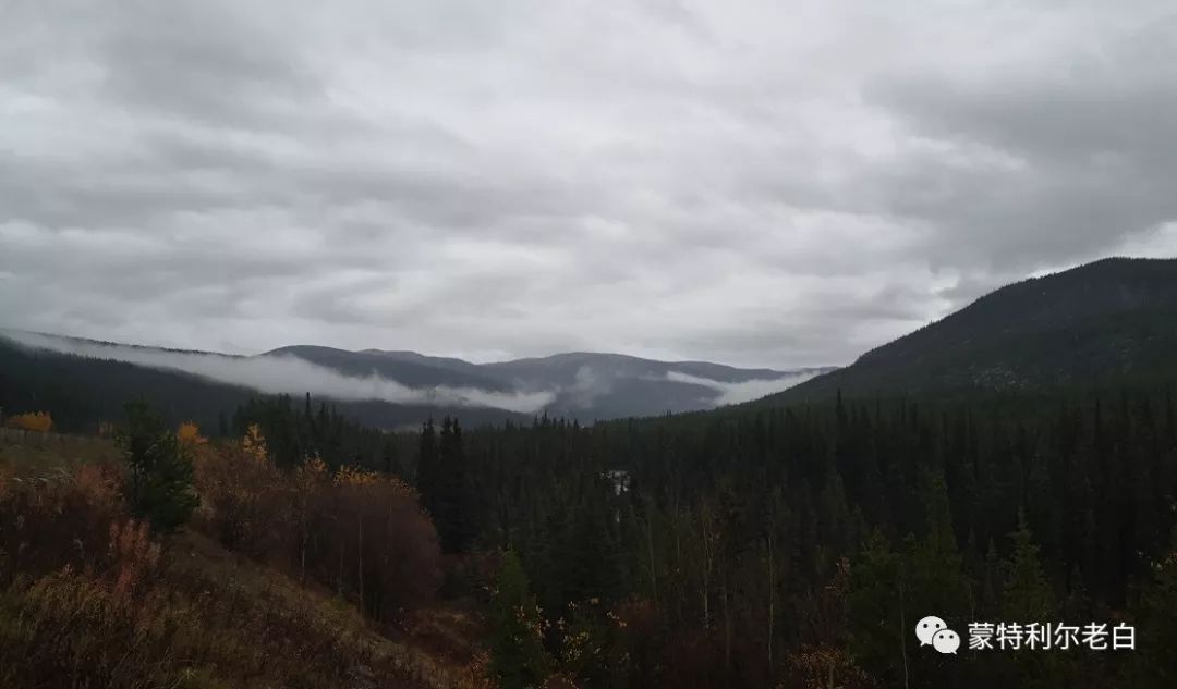 跟着老白行走加拿大，育空Watson Lake、BC省Northern Rockies