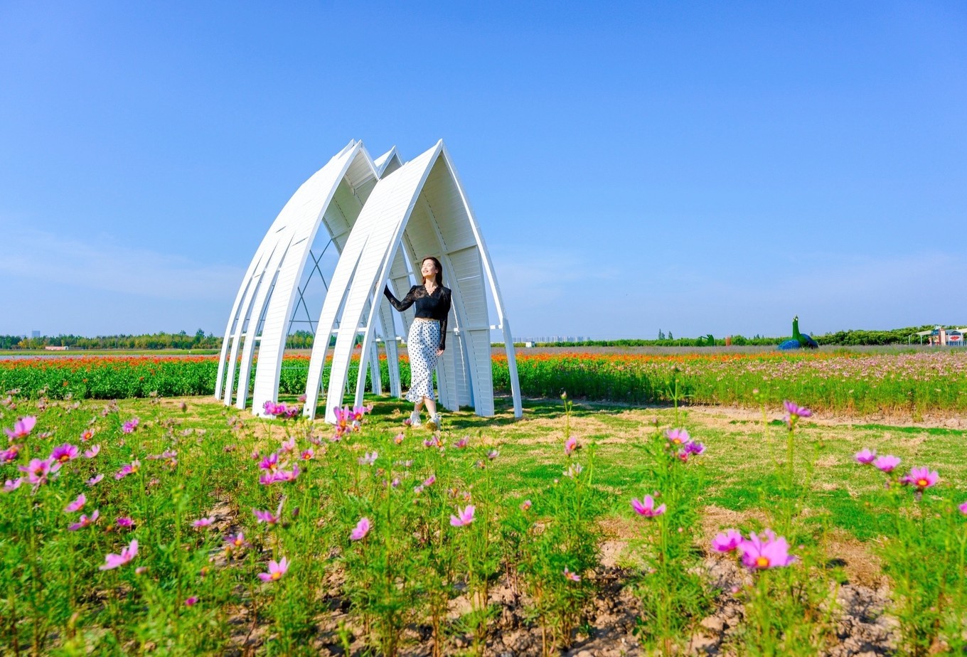 走进南京高淳,打卡网红打卡地固城湾景区,品尝固城湖螃蟹