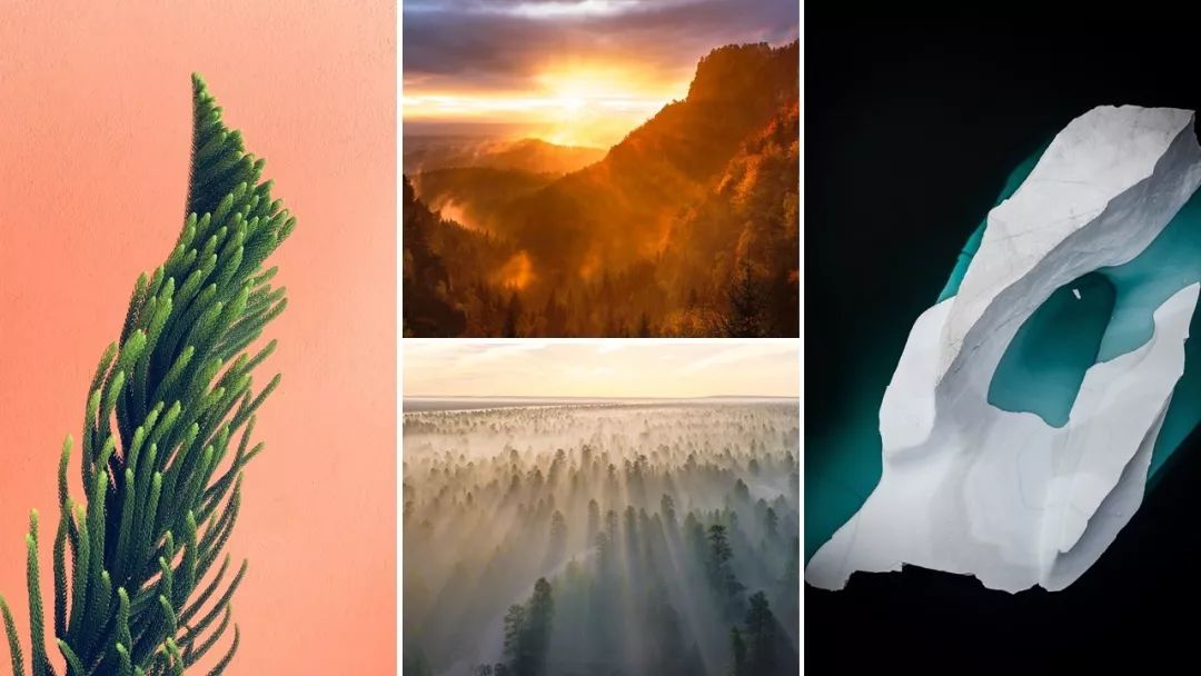 第一次做ppt做的太慢了,ppt20大制作的技巧和方法