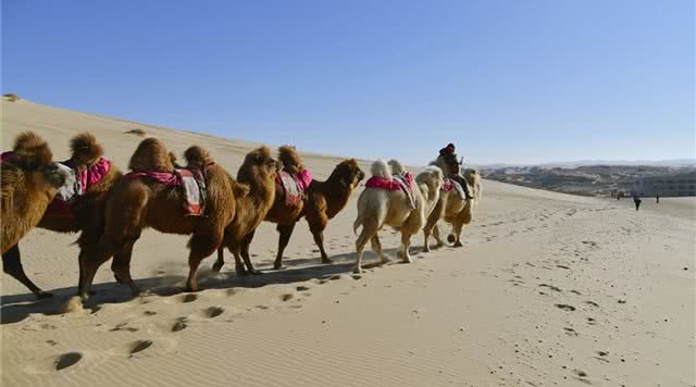 内蒙古沙漠旅游景点,内蒙古沙漠景点大全图片高清