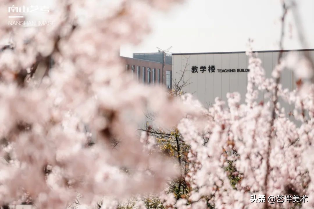 南山艺考画室怎么样收费,西安南山艺考画室官方账号