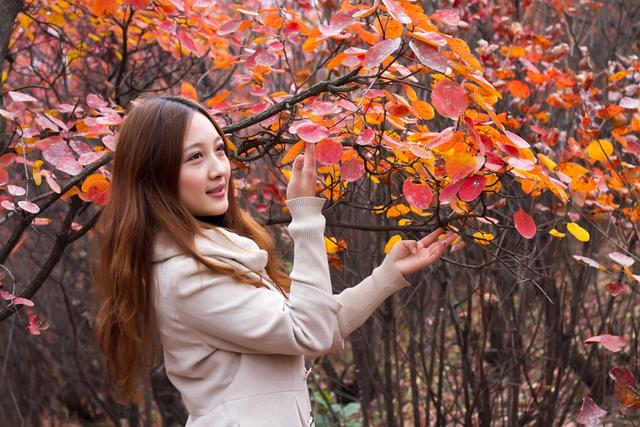 优秀作文范文欣赏记叙文父爱,优秀作文且听风吟静待花开