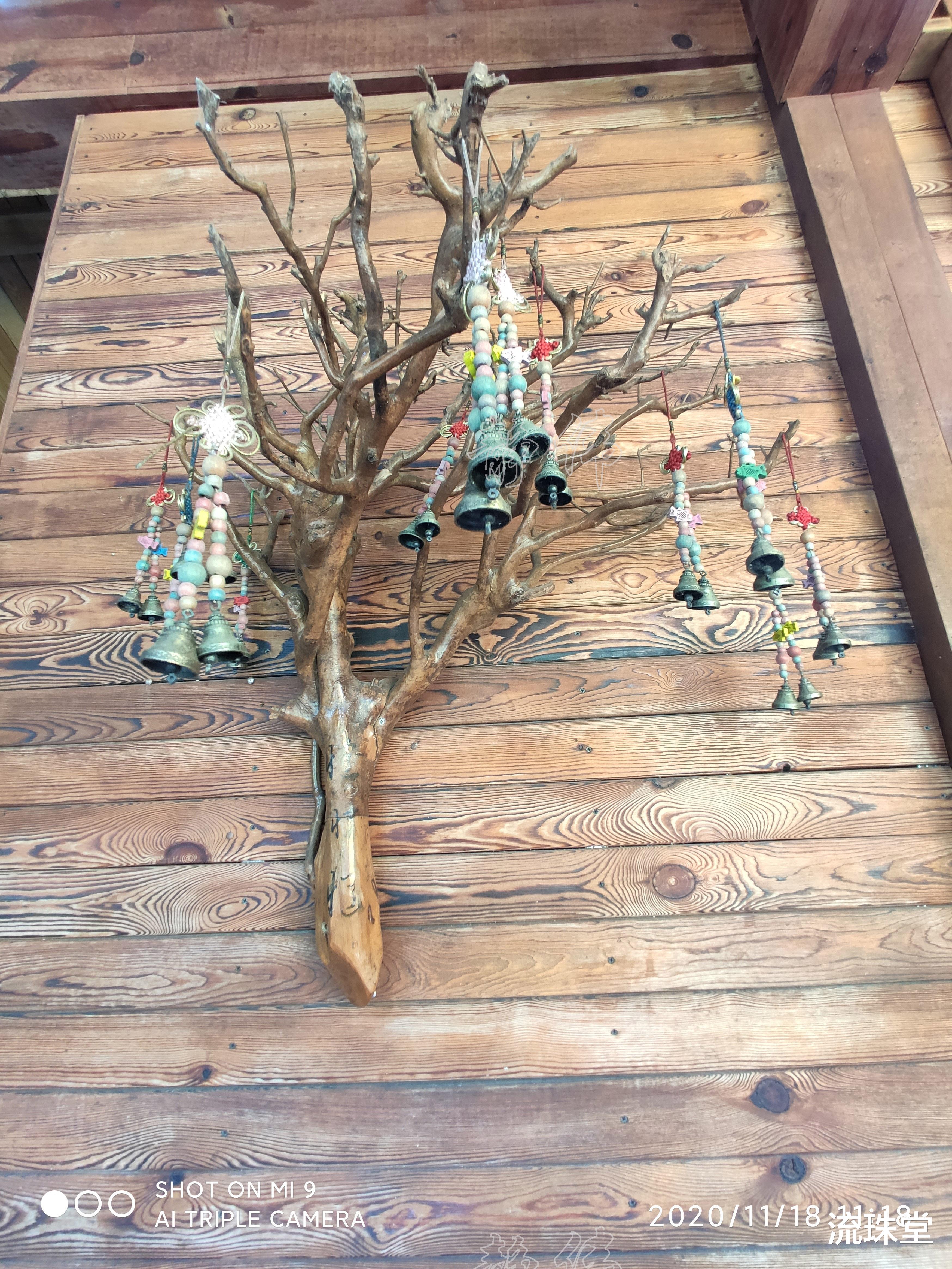 西双版纳的旅行故事,西双版纳风情与大家分享