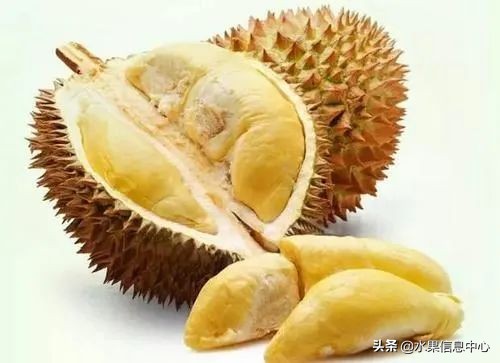 揭秘各种水果批发的价格,批发市场卖水果的技巧