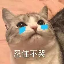 华女返澳遭海关拦检，从日本买的爱马仕被罚2000刀！