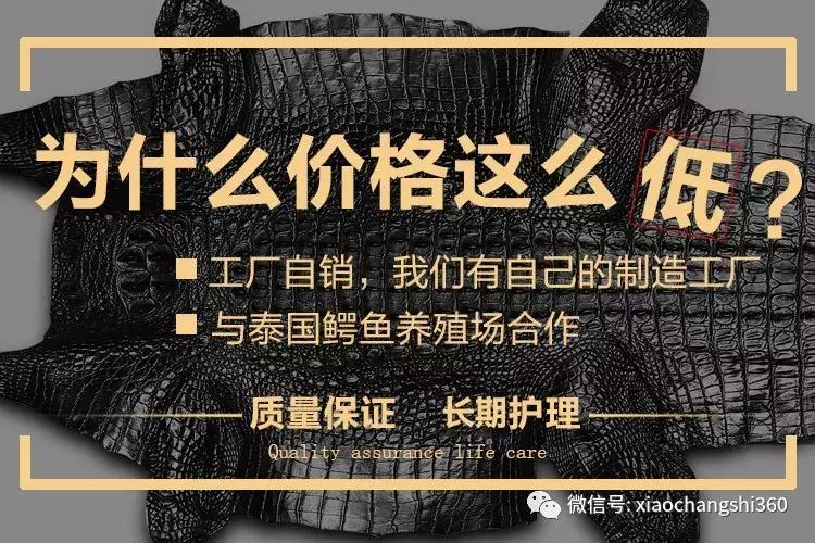 正品鳄鱼100%真牛皮皮带,进口鳄鱼真皮皮带特价