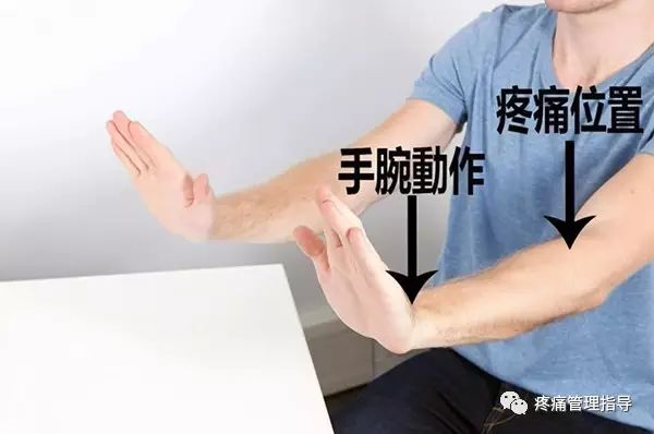 网球肘能自我恢复吗,网球肘病因的解剖学研究