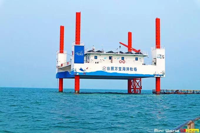 藏在日照的海边，竟然有一处世外桃源，赶海，捕鱼，温馨民宿……