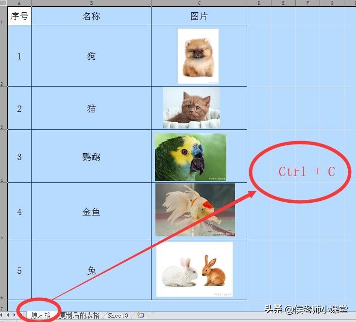 办公软件excel技巧如何制作表格,办公软件技巧excel图片打印