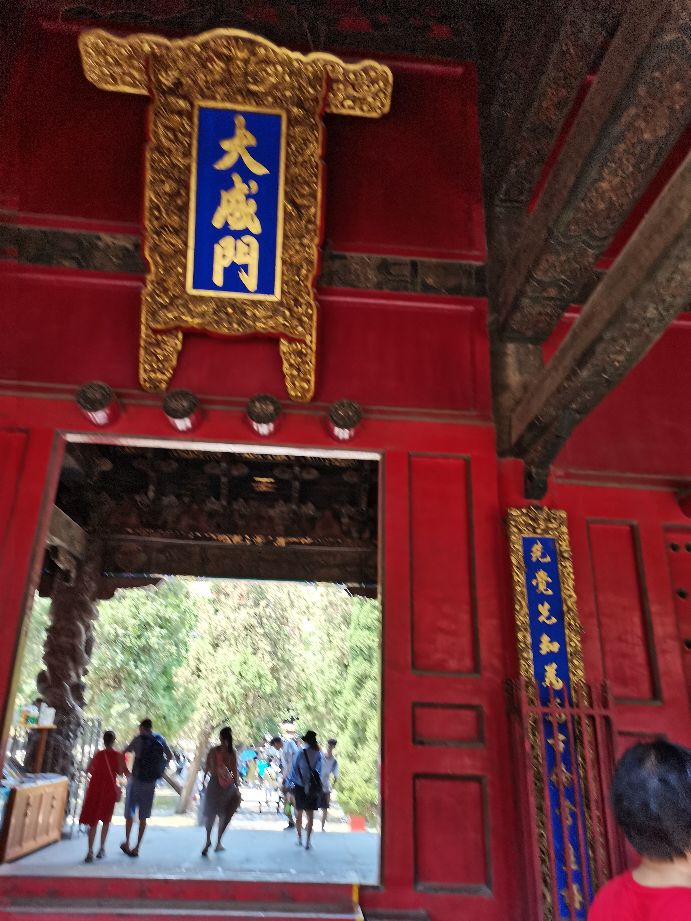 孔府孔庙孔林儿童门票,去孔庙孔府孔林的游记