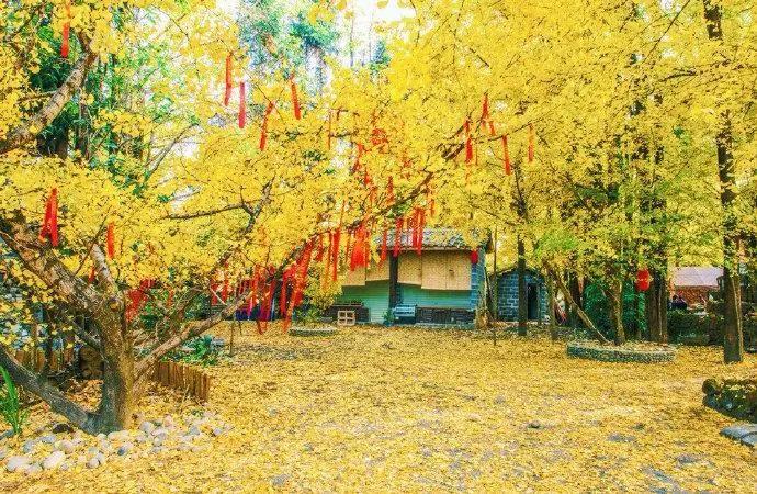 云南最美的旅游景点排名,大美云南11个县域旅游地