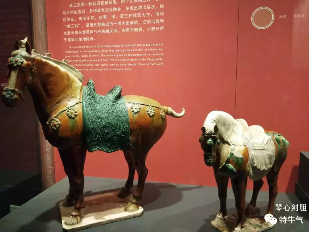 赤金走龙陕西历史博物馆,陕西历史博物馆抢票攻略