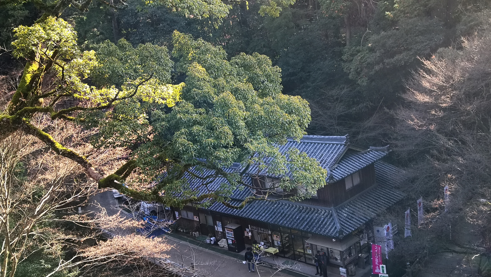 书写山圆教寺景点,书写山圆教寺攻略