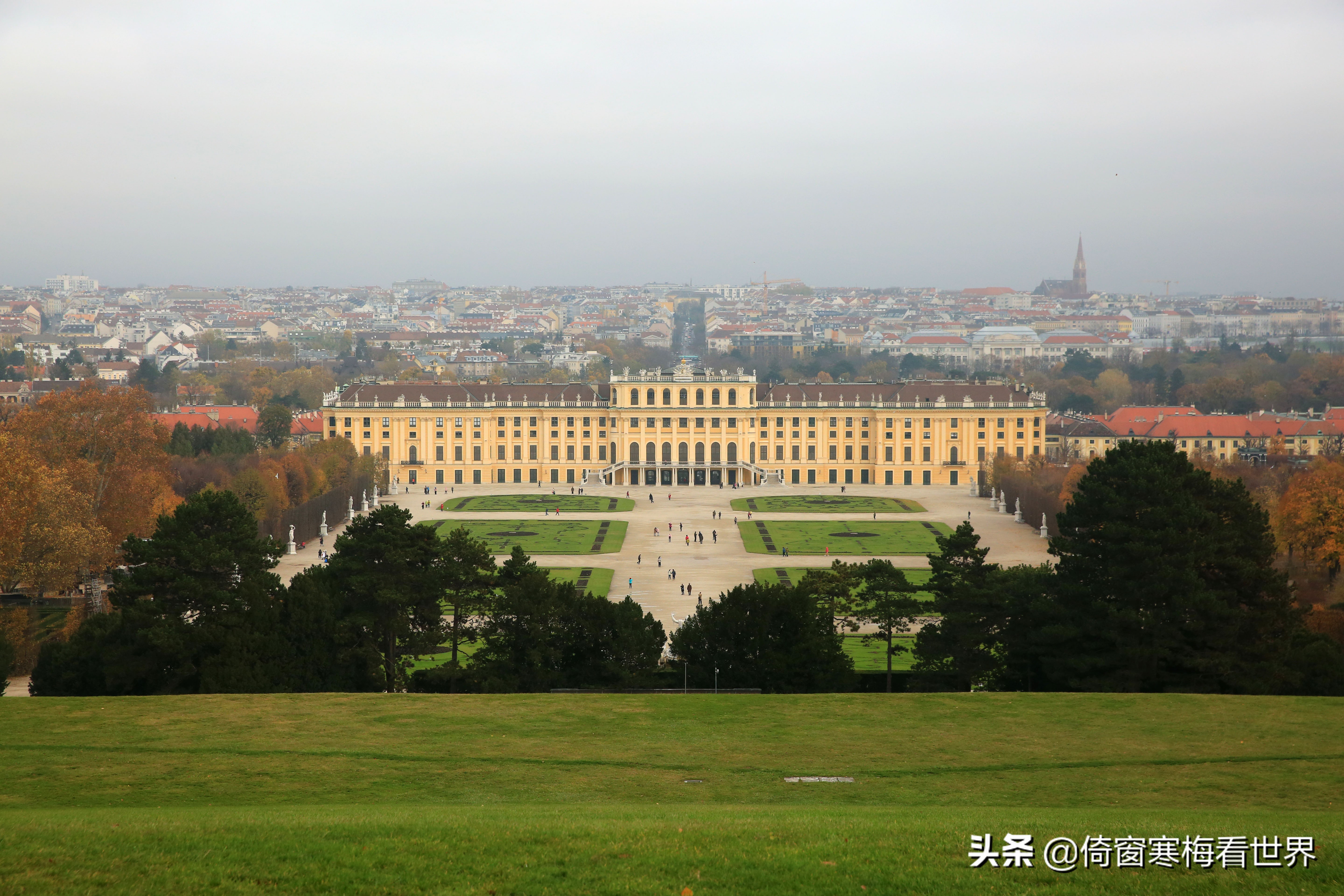 走马观花这首歌,走马观花乐器版
