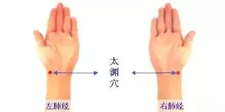 补气提升免疫力,补气提高免疫力最好的方法