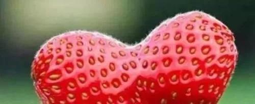 如何区分草莓畸形果实,草莓畸形果能长大吗