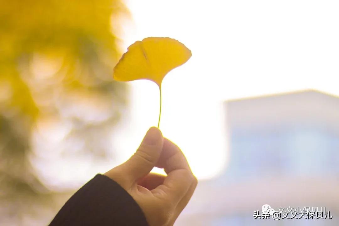 互联网医疗保险案例,高热惊厥保险理赔