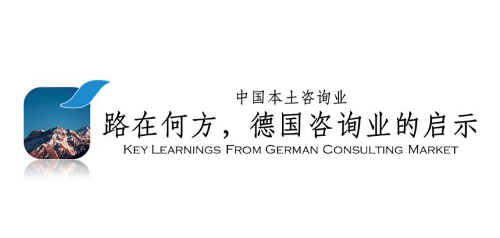 中国本土咨询公司排名,本土咨询业发展