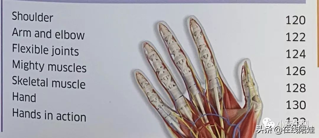 dk知识大百科全套,dk知识大百科书金银版