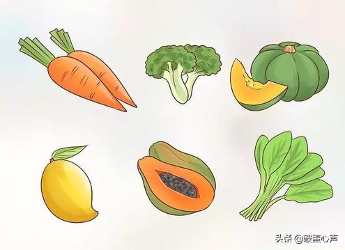 鹦鹉喂养的诀窍是什么,如何给鹦鹉鸟食物喂养好