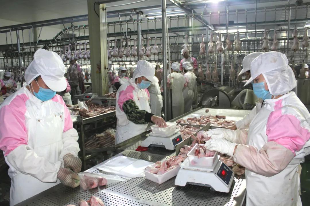 康平发展,康平县企业