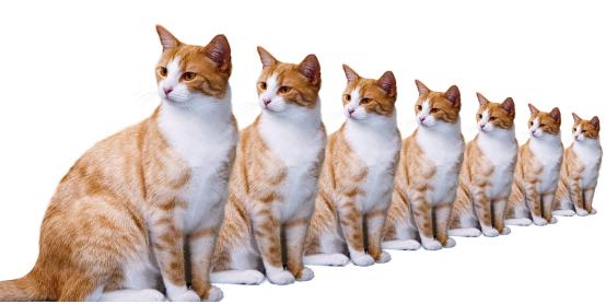 你不知道的ps旋转再制新玩法,你不知道的ps绘画小技巧