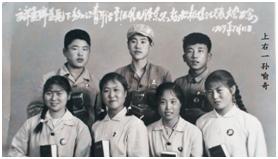 插秧拔杂草,插秧收割稻谷