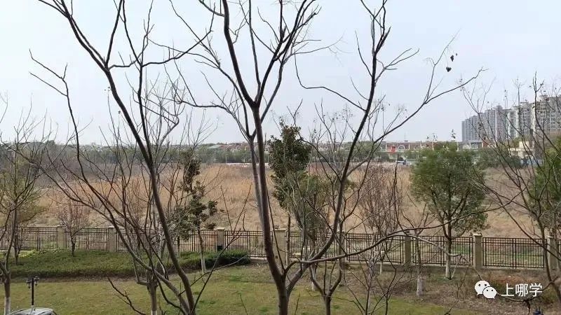 上海2020新增学位,上海各大学2024新增学位点