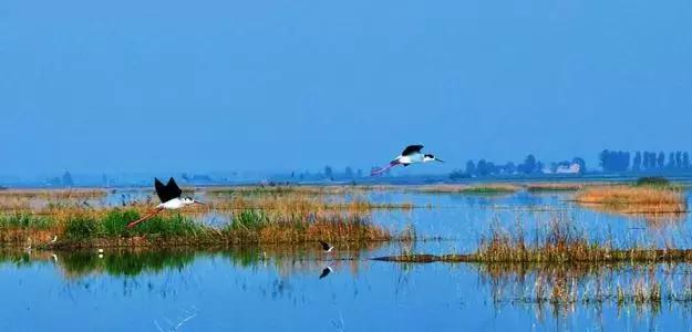 大荔美吗,大荔县的美