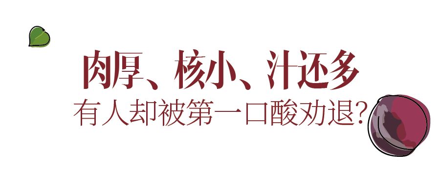 鍙堝ぇ鍙堢敎鐨勬亹榫欒泲鏉庡瓙,鎭愰緳铔嬫潕鍙ｆ劅