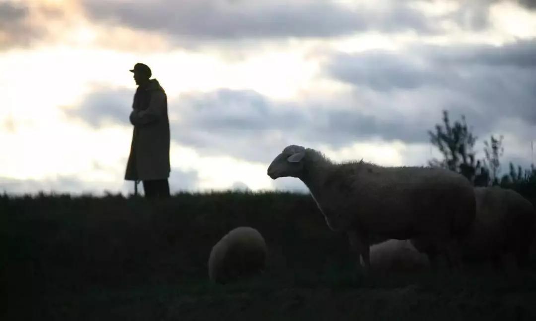 记住这30张脸,记住这每一张脸