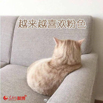 年纪轻轻就初老症状,步入初老的几种症状