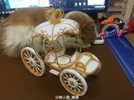 拼豆入坑指南,拼豆店需要哪些东西