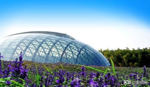 中国最具魅力的、最浪漫的温泉度假村:湖北洪湖悦兮半岛温泉!