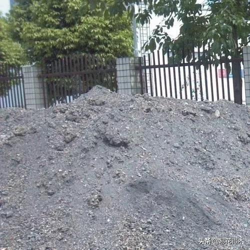 养花煤渣直接掺到土里吗,蜂窝煤渣养花好处多