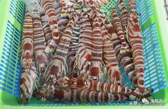 十种最美味海鲜,100种常见海鲜大全图