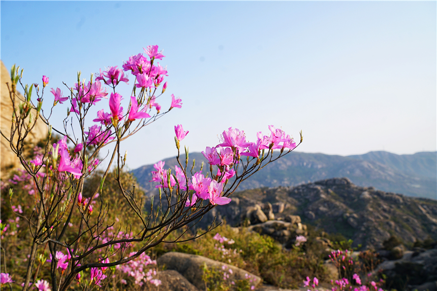 江南水乡旅游攻略四天三晚,温州旅行攻略四天三夜