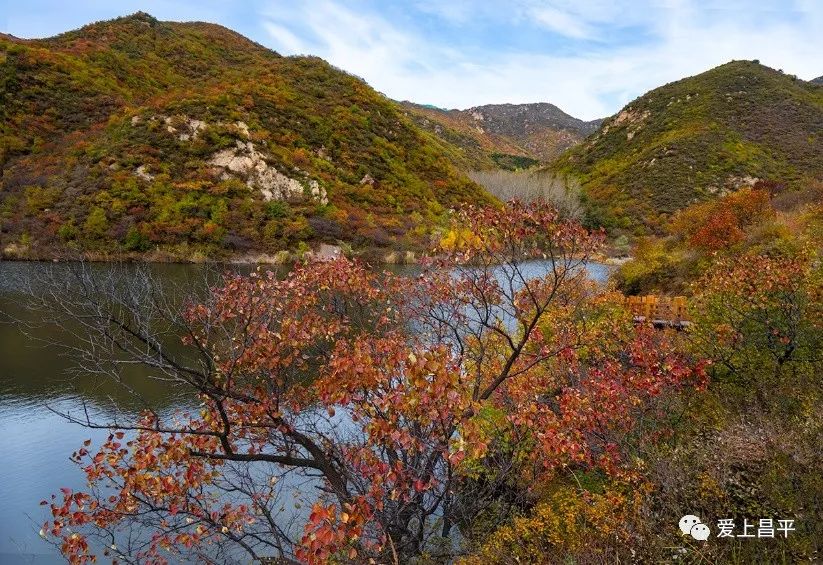 昌平区适合一日游玩踏青的地方,4月中旬昌平区最值得去的景点