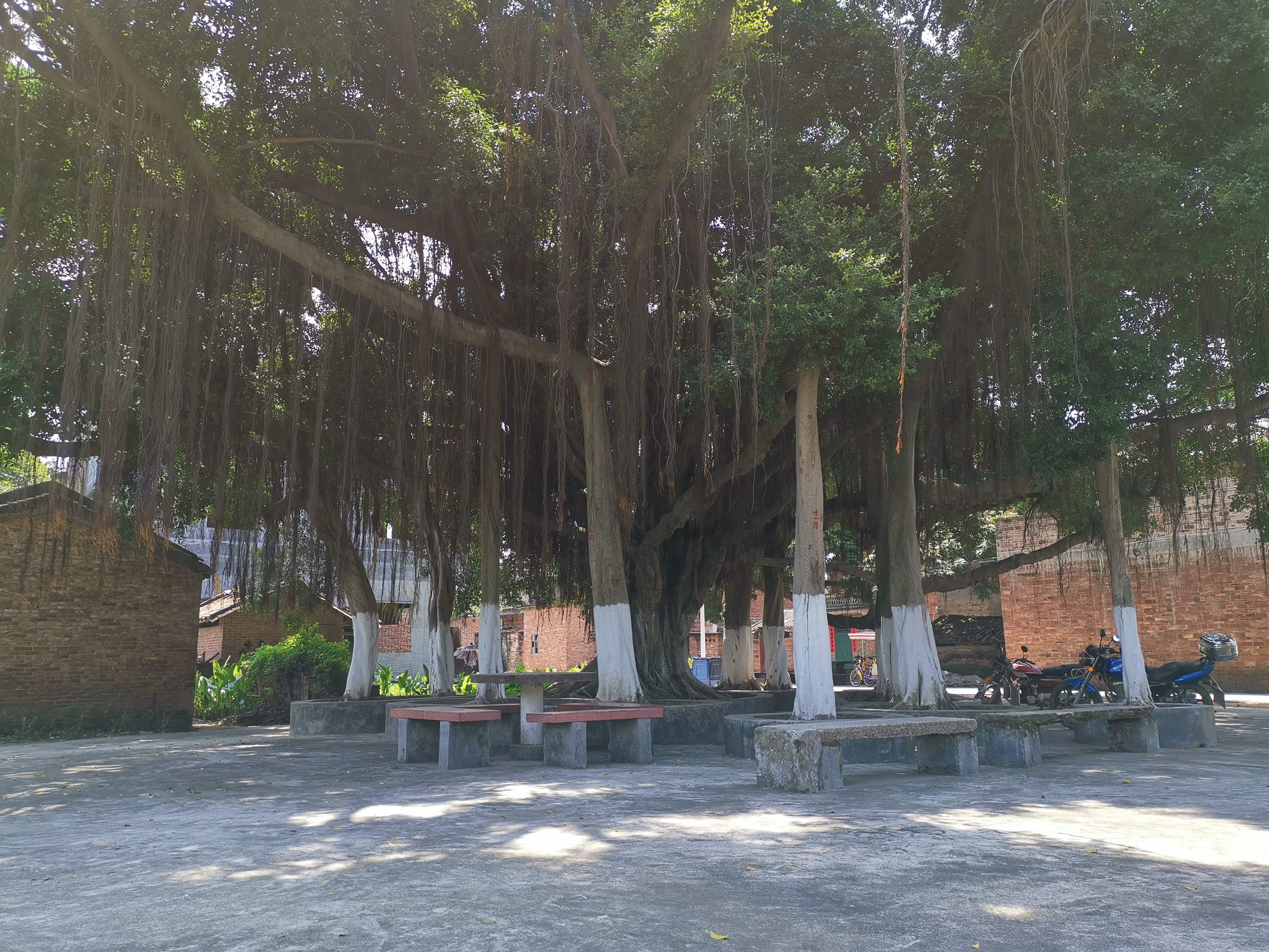 5.1旅游最好的地方,5.1旅游风景